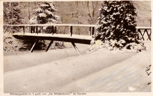 A12 Wintergezicht in het park van De Wildenborch te Vorden